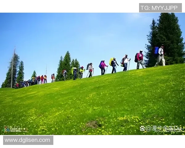 上半场与下半场的精彩对比与深刻反思探讨