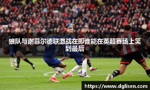 狼队与谢菲尔德联激战在即谁能在英超赛场上笑到最后